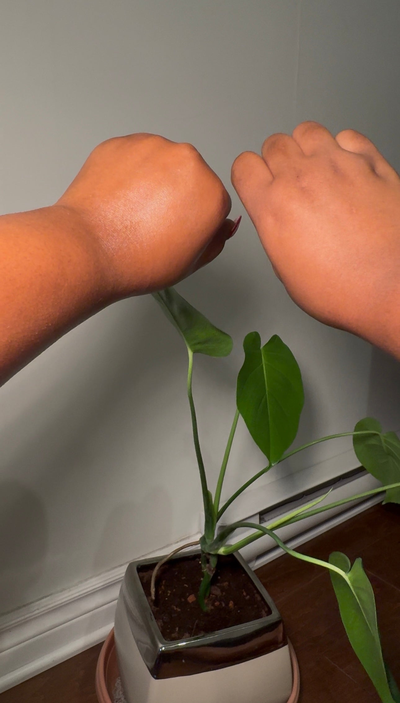 Milady in vanilla - Elegant and long lasting body oil